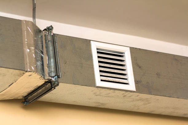 Best Professional Duct Cleaning Services  in South Williamsport, PA